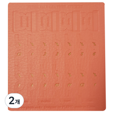 PLEPIC Fresh Day 皮革索引貼紙 Coral Pink, 2個