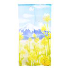 COSMOS 長門簾, 富士山春天油菜花