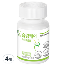 풀무원 슬림케어 녹차추출물, 4개, 24g