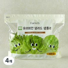 팜에이트 무농약 인증 유러피안 샐러드 샘플러, 300g, 4개