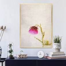 Mabel In Home 花卉藝術水彩畫室內裝飾鋁製畫框 + 花卉海報組, 金色
