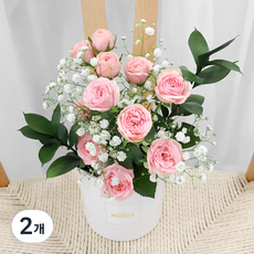 블뤼엔 자나장미 센터피스화분, 혼합색상, 2개