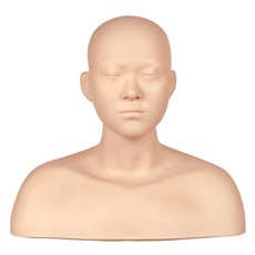 自助美人頸胸模型, 1個