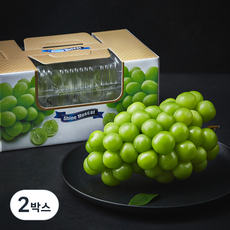프레시픽 상주 문장대 샤인머스캣 선물세트, 700g, 2박스