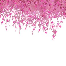 重點壁紙 59J405903, 永遠春天花卉花朵