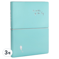 Iciel design of the day 行事曆 日記本 M, 3個, 薄荷綠