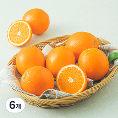 고당도 네이블 오렌지, 1.3kg(중과), 6개