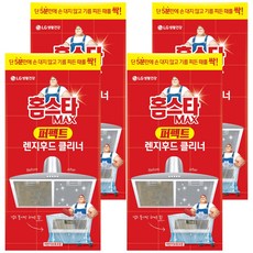 홈스타 맥스 퍼펙트 렌지후드 클리너, 450ml, 4개