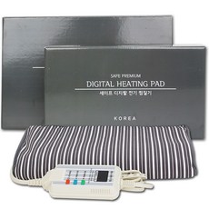 DAESHIN Electronics Safe Premium 電蒸鍋 Large HSP-21