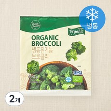 퀵쿠킹 유기가공식품 인증 브로콜리 (냉동), 600g, 2개