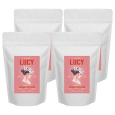 LUCY 루이보스 오렌지 티백, 1g, 50개입, 4개
