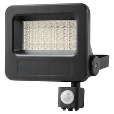 EVERLIGHT 億光 星宇LED 紅外線感應投光燈 30W IP65防水, 白光, 1個