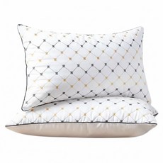 深睡眠抗菌防蟎枕頭 2入組, 45 x 74cm, 提升睡眠品質，享受健康舒適的睡眠體驗, 白色, 1組