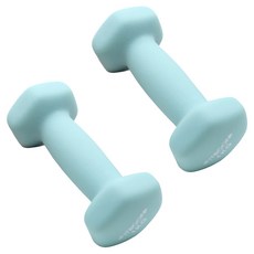 핏분 네오프렌 아령 멜론민트, 1kg, 2개