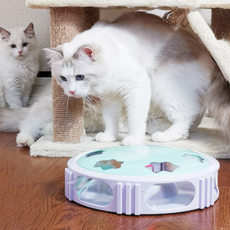DING DONG PET 貓咪旋轉自動玩具, 薄荷, 1個