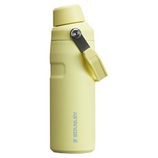 스탠리 아이스플로우 에어로라이트 패스트플로우 텀블러, 포멜로, 473ml, 1개