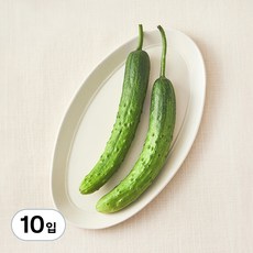 유기농 오이 2개입, 5팩