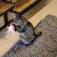 RESPET 貓自動玩具跳舞羽毛, 粉色的, 1個