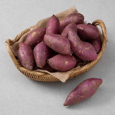 국내산 햇 밤고구마, 1.5kg, 1개