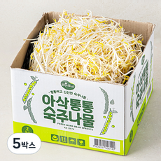 맑은물에 아삭통통 숙주나물, 5박스, 2kg