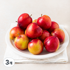 수플린 국내산 자두, 1kg, 3개