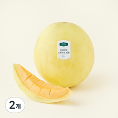 온브릭스 항공직송 프리미엄 오렌지듀 멜론, 2개, 1.7kg