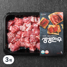 생생한우 1등급 안심 찹스테이크용 (냉장), 200g, 3개