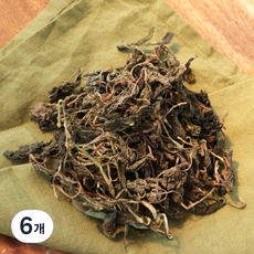 뭉글 건다래순, 100g, 6개