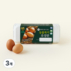 조인 동물복지 인증 유정란 520g, 3개, 10구