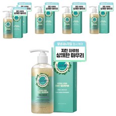 바렌 스크럽 풋 샴푸 플로럴 퍼퓸향 300ml, 1개입, 6개