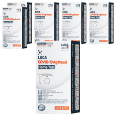 루카에이아이셀 코로나19 자가검사키트, 2개입, 6개
