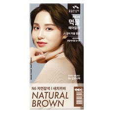 꽃을든남자 뉴 먹물 헤어칼라크림, 1개, N6 자연갈색