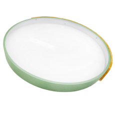 Honey Comb 北歐馬卡龍LED25W遙控調光調色臥室吸頂燈 V1719C25 綠色, 簡約時尚, V1719C54