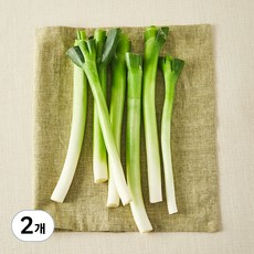 국내산 친환경 손질한 흰줄기 대파, 350g, 2개