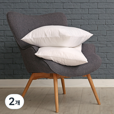 LInTTon Huvis Fill ever柔軟低枕芯 2入, 白色