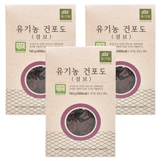 유가원 유기농 건포도 점보, 160g, 3개
