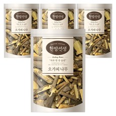 한방선생 오가피 나무, 600g, 4개