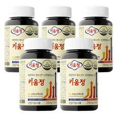 Kiumjeong 青少年用綜合維生素礦物成長補給錠 60g, 240顆, 5罐