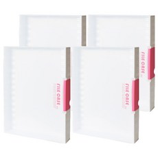 HICKIES A4 半透明文件盒 大型 FC03, 混合顏色, 4個