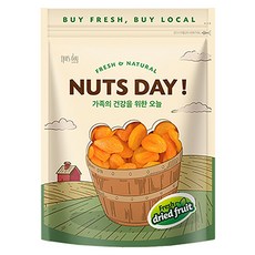 넛츠데이 건살구, 600g, 1개