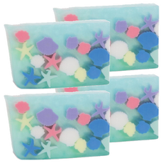 프라이멀엘리먼츠 바디솝 스타피쉬, 165g, 4개