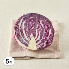 국내산 친환경 적채, 250g, 5개