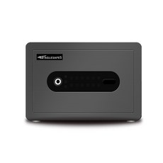 선일금고 EaglesafeS 미니셀 MiniCell 방문설치, GRAY