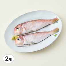 제주 산지직송 제주어가 생물 손질 옥돔 중 2마리 (냉장), 440g, 2개