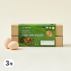애월아빠들 무항생제 인증 구엄닭 방목 유정초란 320g, 10구, 3개