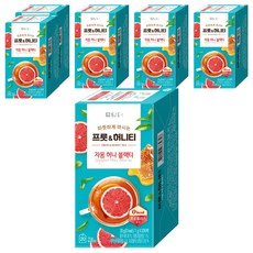 담터 프룻 앤 허니 자몽허니블랙티, 1g, 20개입, 6개