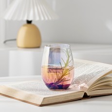 極光耐熱玻璃杯, 570ml, 2個