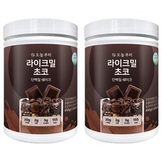 오늘부터 라이크밀 단백질 쉐이크 초코맛, 2개, 450g