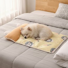 예보들 반려동물 쿨방석, 오렌지, 1개