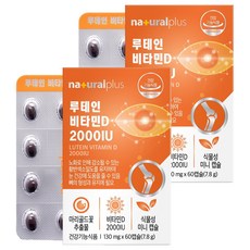내츄럴플러스 루테인 비타민D 2000IU, 2박스, 7.8g